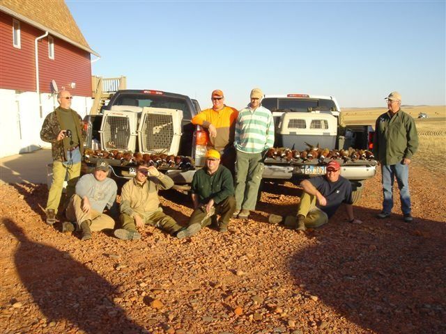 North Dakota Pheasant Hunting - ND Pheasant Hunts