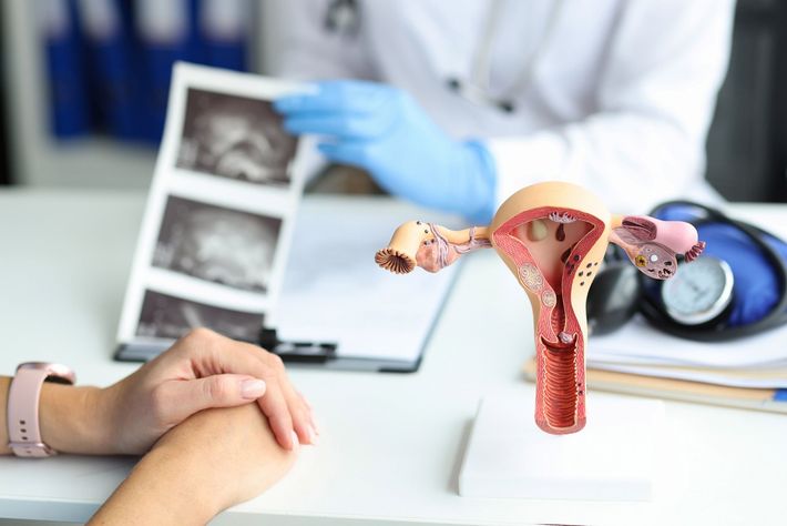 Ovary model on the table — Wheeling, WV — Leigh Anne Massey, MD