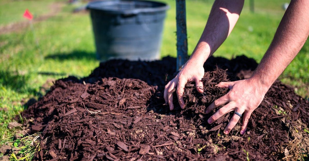 Homeowners using mulch on their awnl