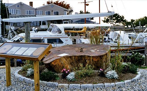landscaping company Old Saybrook, CT