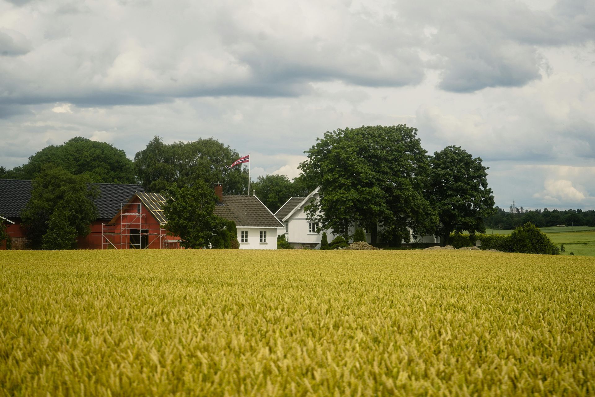 Farm