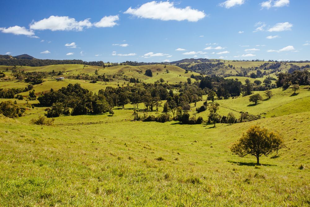 Green Grassy Hills Under A Bright Blue Sky With Scattered Trees — Ace Fridge Door Seals In Atherton Tablelands, QLD
