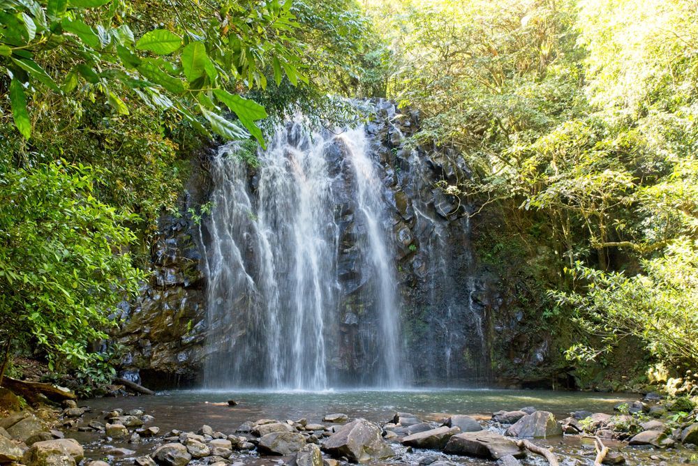 Waterfall Cascading Into A Pool, Surrounded By Lush Green Trees — Ace Fridge Door Seals In Atherton Tablelands, QLD
