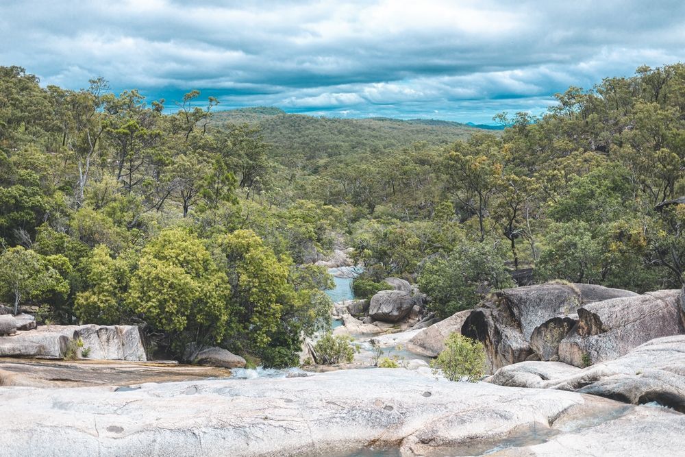 View Of A Lush Green Forest And A Flowing River Under A Cloudy Sky — Ace Fridge Door Seals In Mareeba, QLD