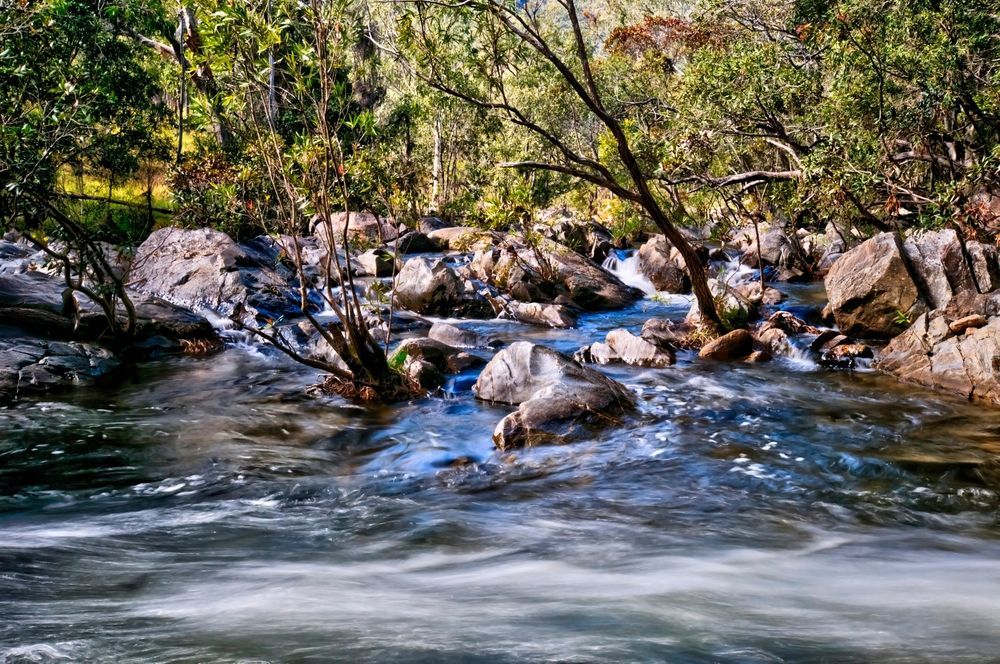 Rushing Water Flowing Over Rocks In A Stream, Surrounded By Trees In A Forest — Ace Fridge Door Seals In Mareeba, QLD