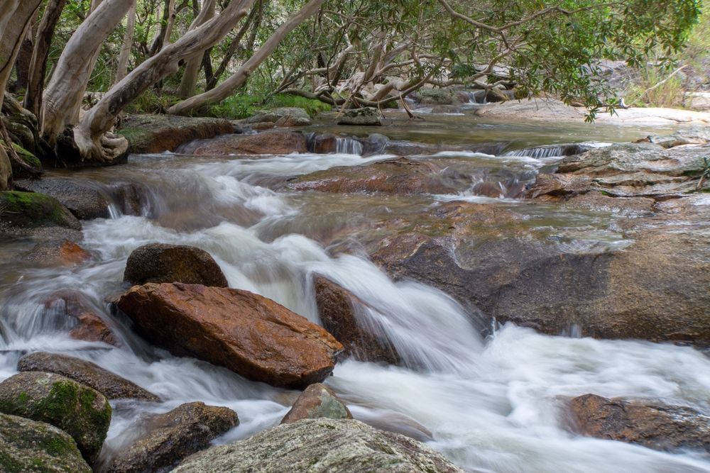 Rushing Water Flows Over And Around Rocks In A Creek Under Trees — Ace Fridge Door Seals In Mareeba, QLD