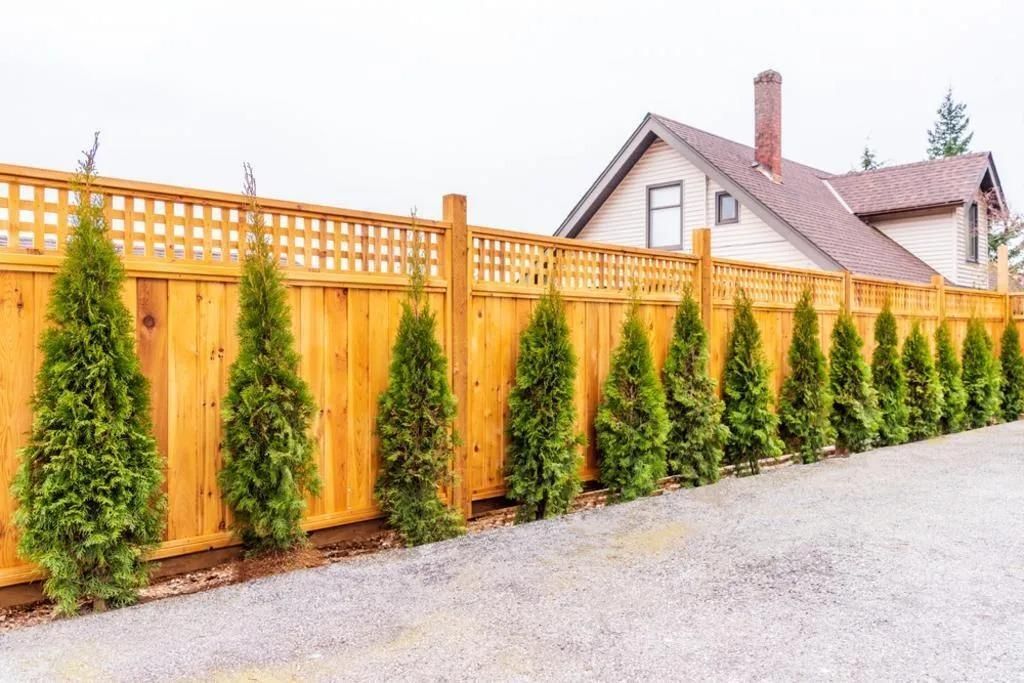 Wooden fence with lattice top, line of green trees, house in background.
