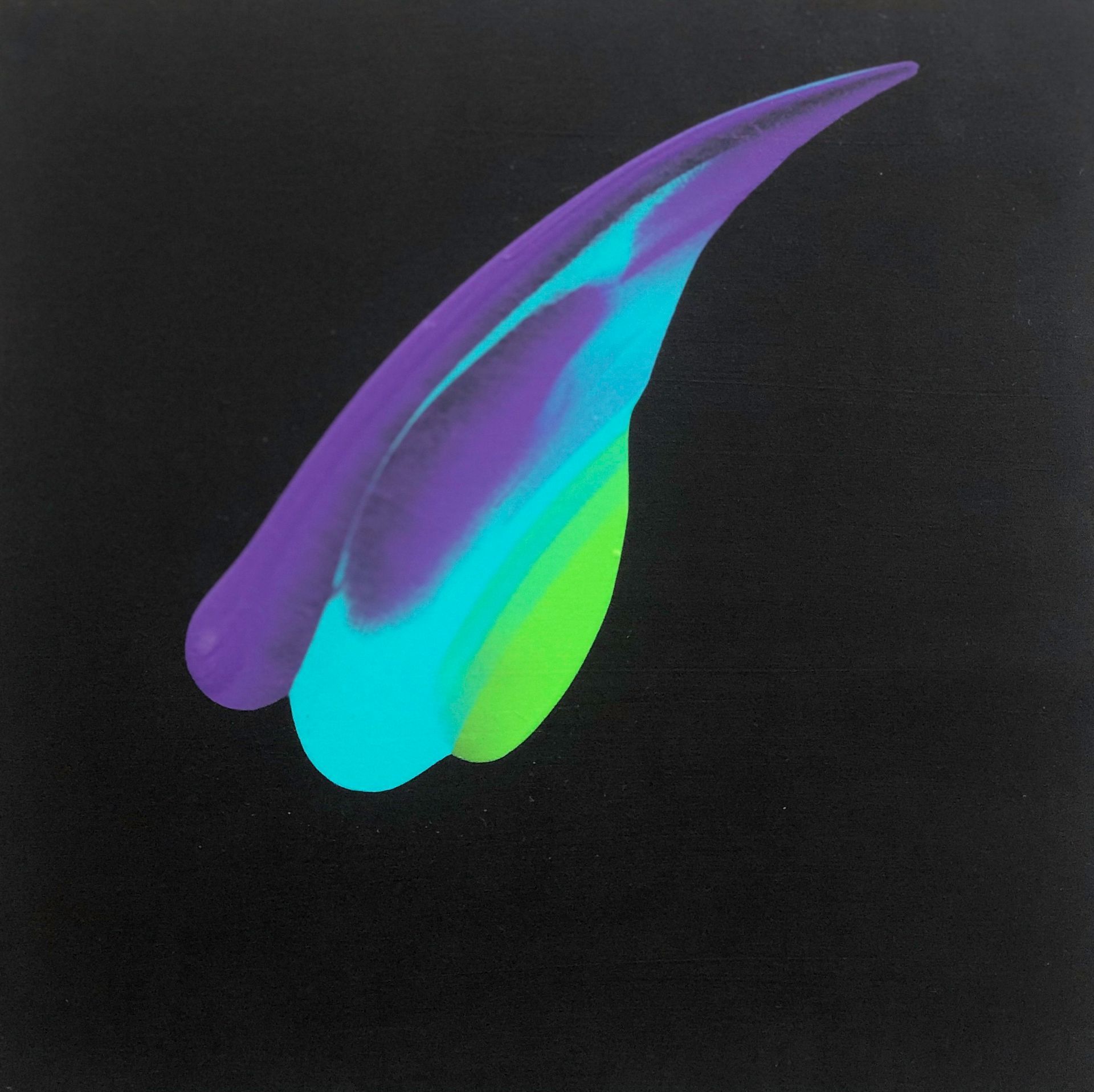 Black shawl draped on a black mannequin, with blue, turquoise, and yellow abstract design.