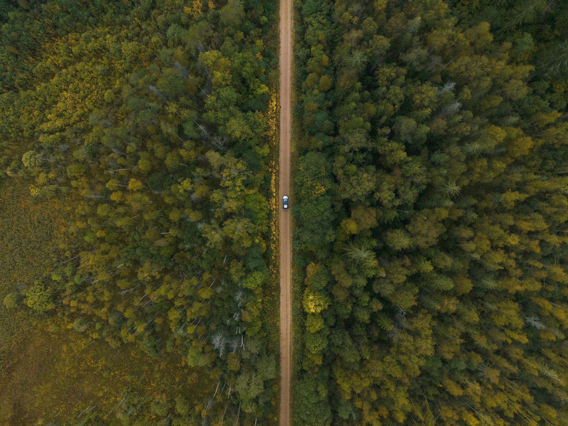 Aerial view of dirt road through a forest; small white car in the center.