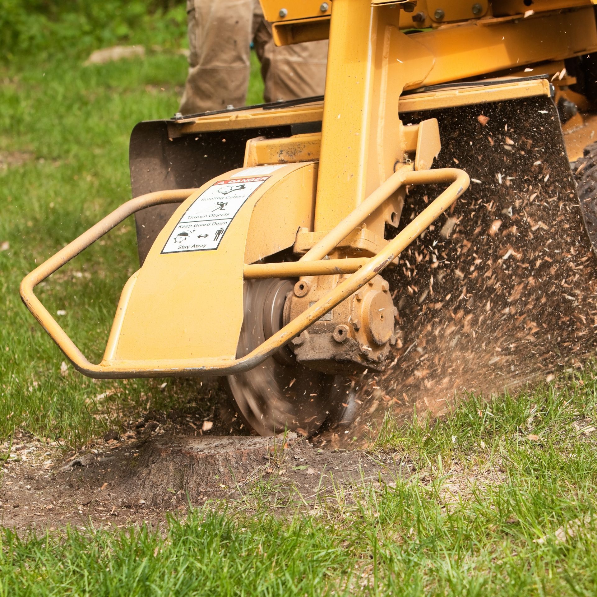 A yellow stump grinder cuts into the ground, turning wood into mulch on a grassy lawn.