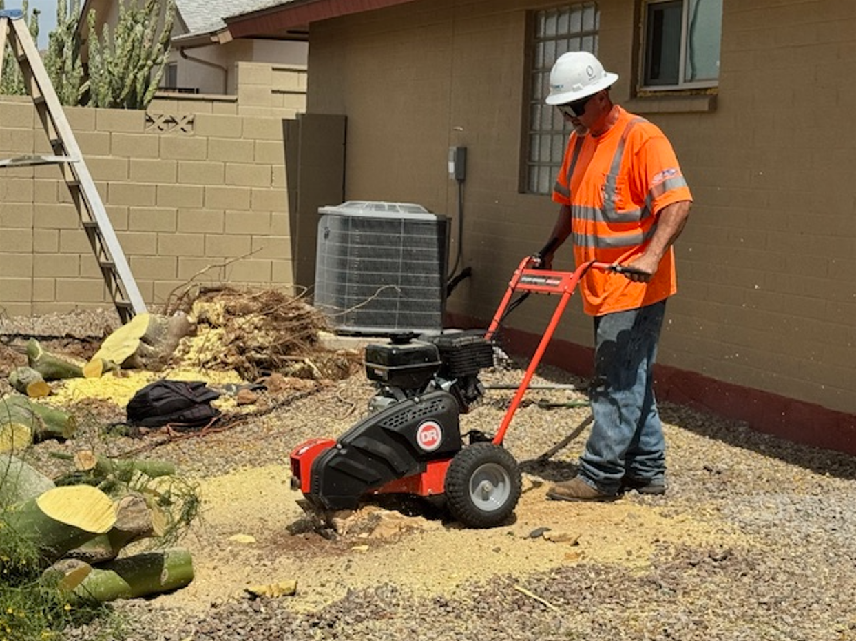 A yellow stump grinder machine with a metal cutting wheel grinds down a tree stump in a garden setting.