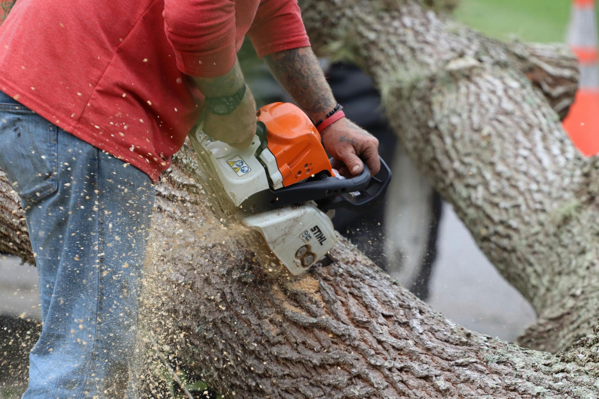 A person in a red shirt uses a chainsaw to cut into a large, fallen tree trunk, creating a spray of wood shavings.
