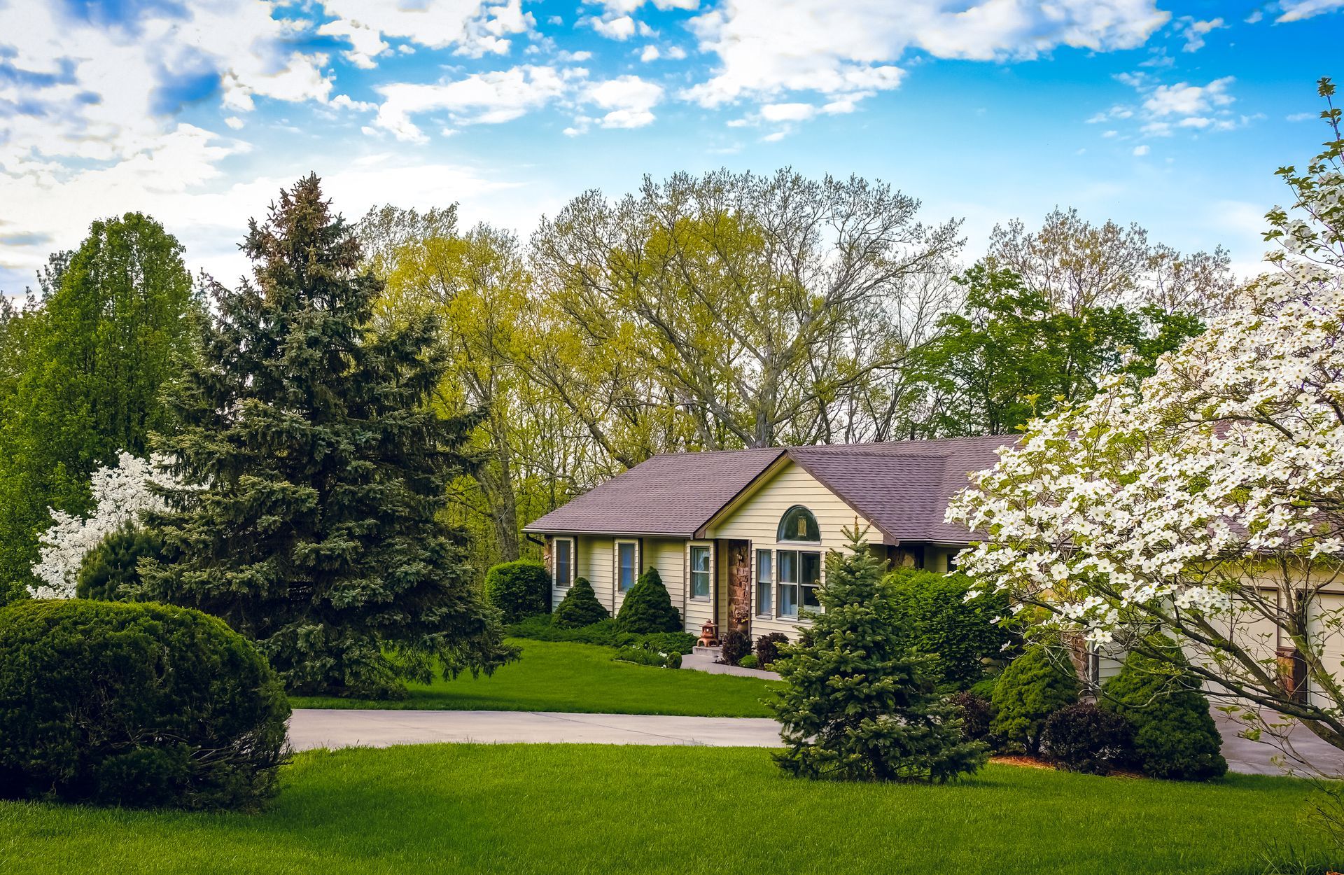A one-story beige house with a brown roof, surrounded by lush green lawns, large pine trees, and flowering spring trees.