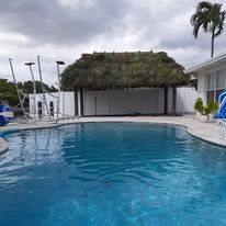 Pool with a thatched roof cabana, palm trees, and a house in the background.