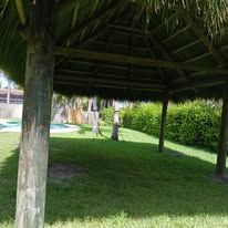 A thatched-roof gazebo in a grassy yard near a swimming pool.