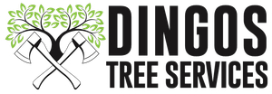 Dingo’s Tree Service: Efficient Tree Services in Wollongong