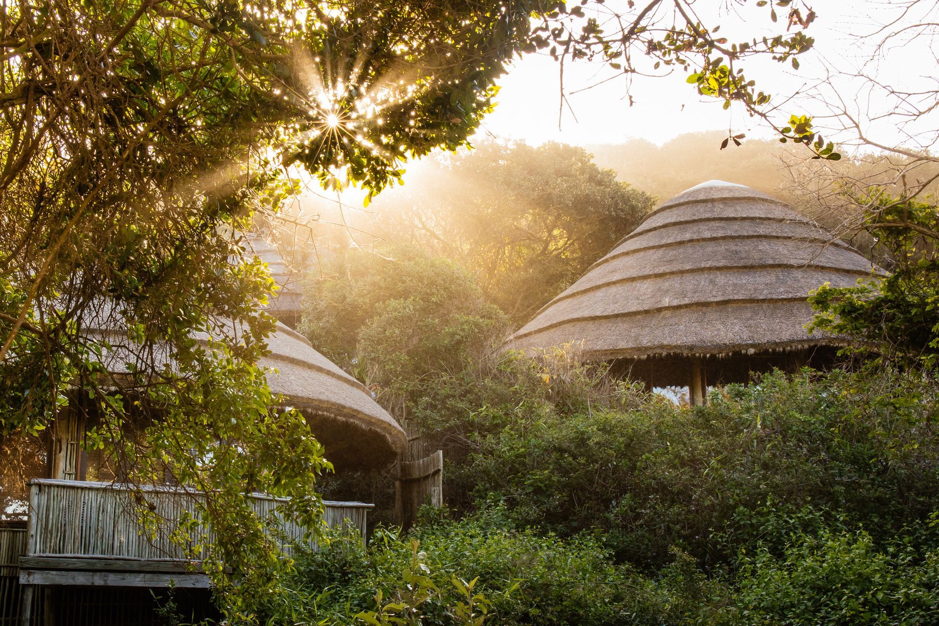 thonga beach lodge forest resort best beach resorts in south africa