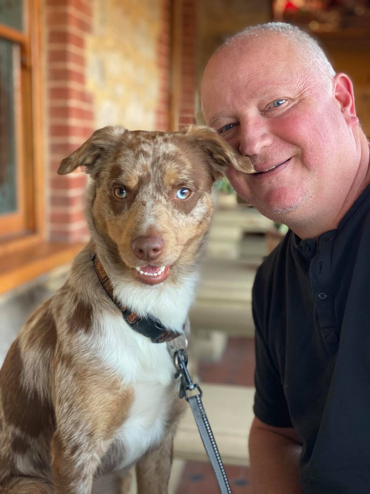 Pet Food Adelaide Hills at Elke Davis blog