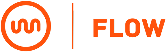 Flow IO Business Information Technology Solution
