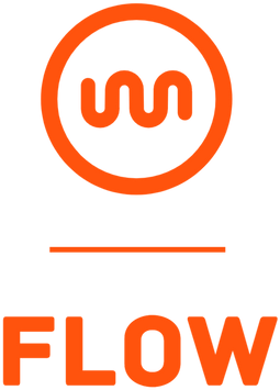 Flow IO Business Information Technology Solution