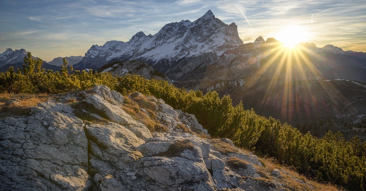 The sun is shining through the trees on top of a mountain.