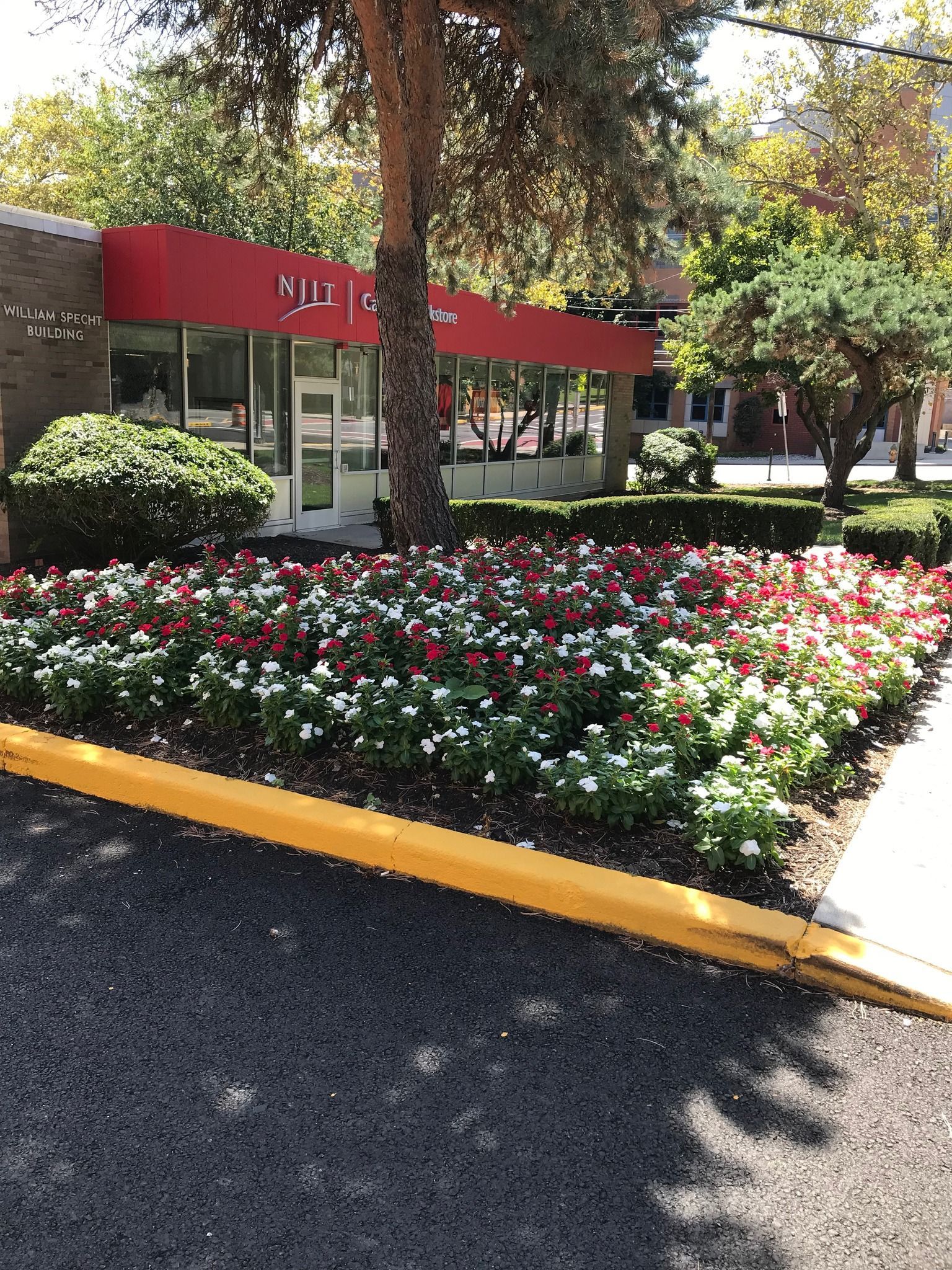 Red-roofed building with flowerbeds of red and white flowers, bordered by a yellow curb.