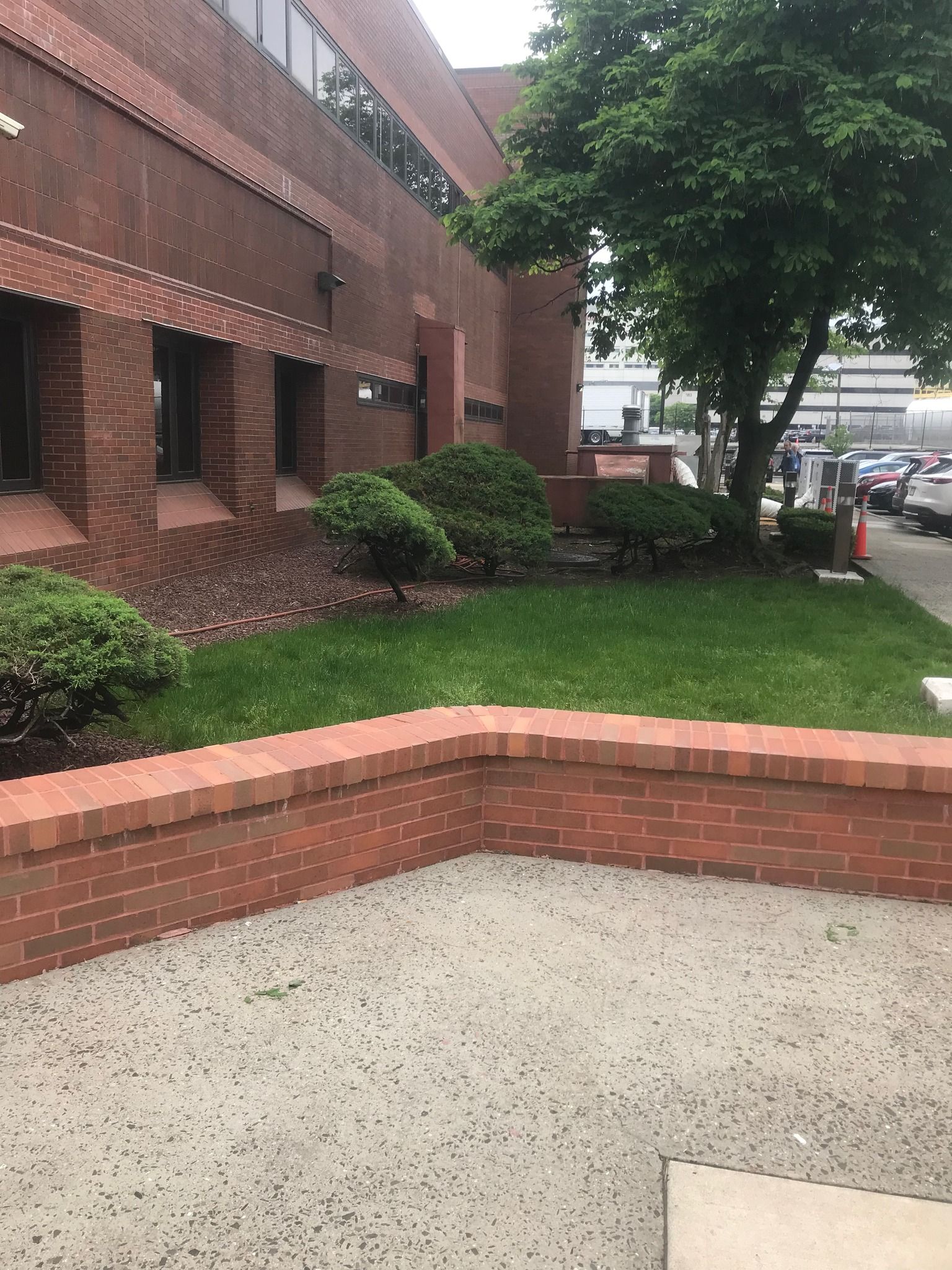 Brick building exterior with a low brick wall, grass, shrubs, and a tree.