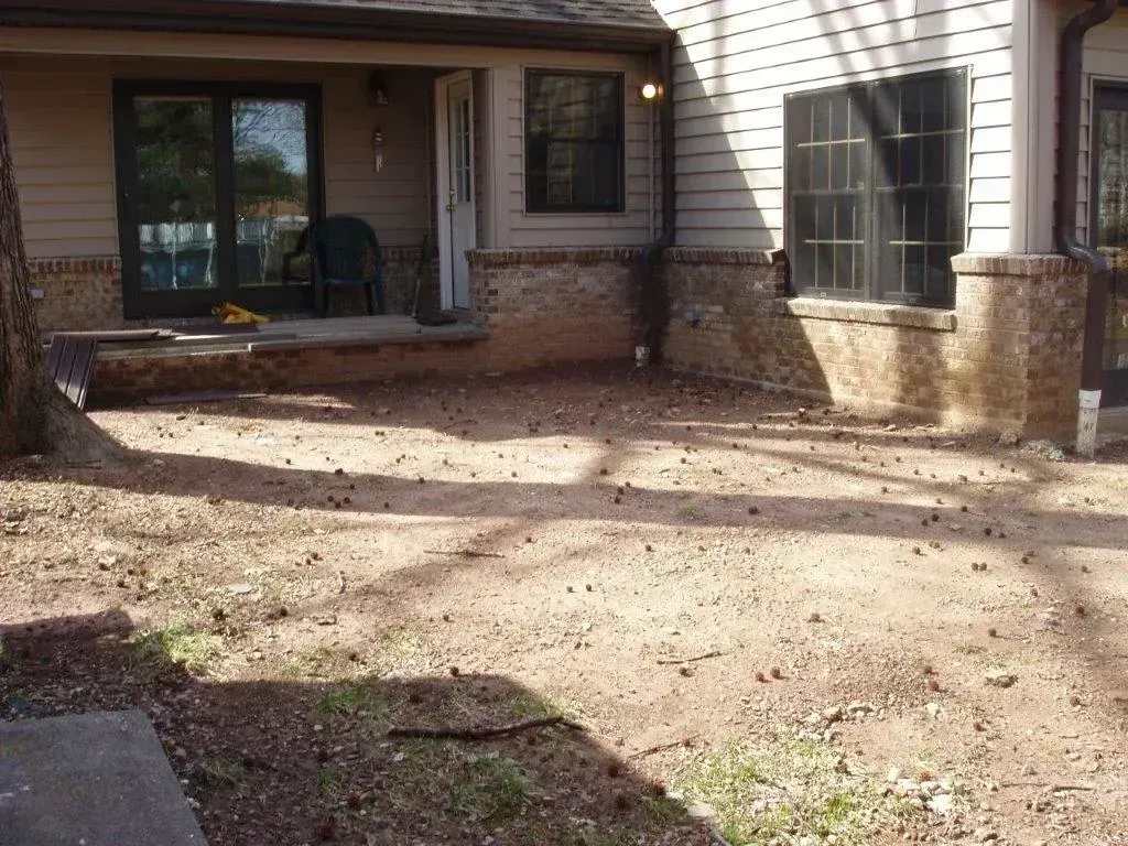 Dirt yard outside a house with a door, windows, and pillars.