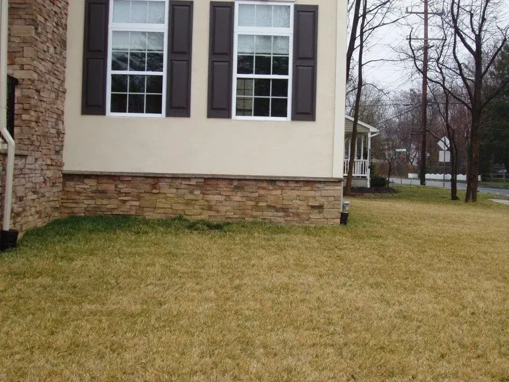 Corner of a beige house with brown shutters and a stone facade, with a brown-grass lawn.