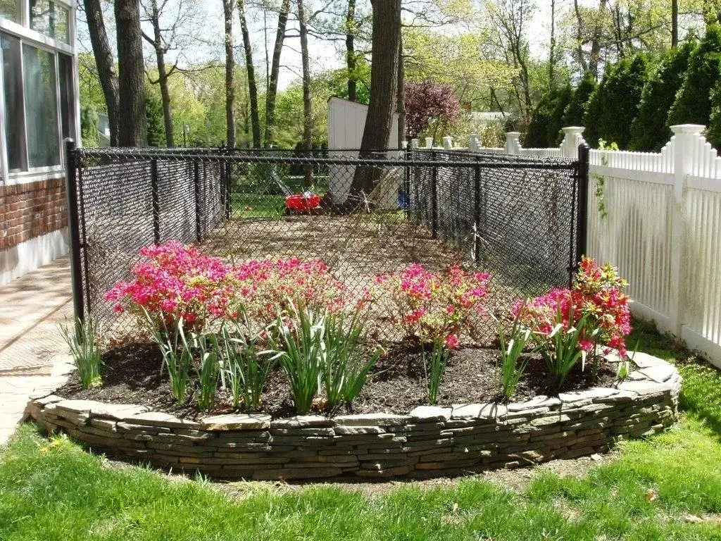 Curved stone-edged flower bed with pink flowering plants, a black chain-link fence, and white picket fence in a yard.