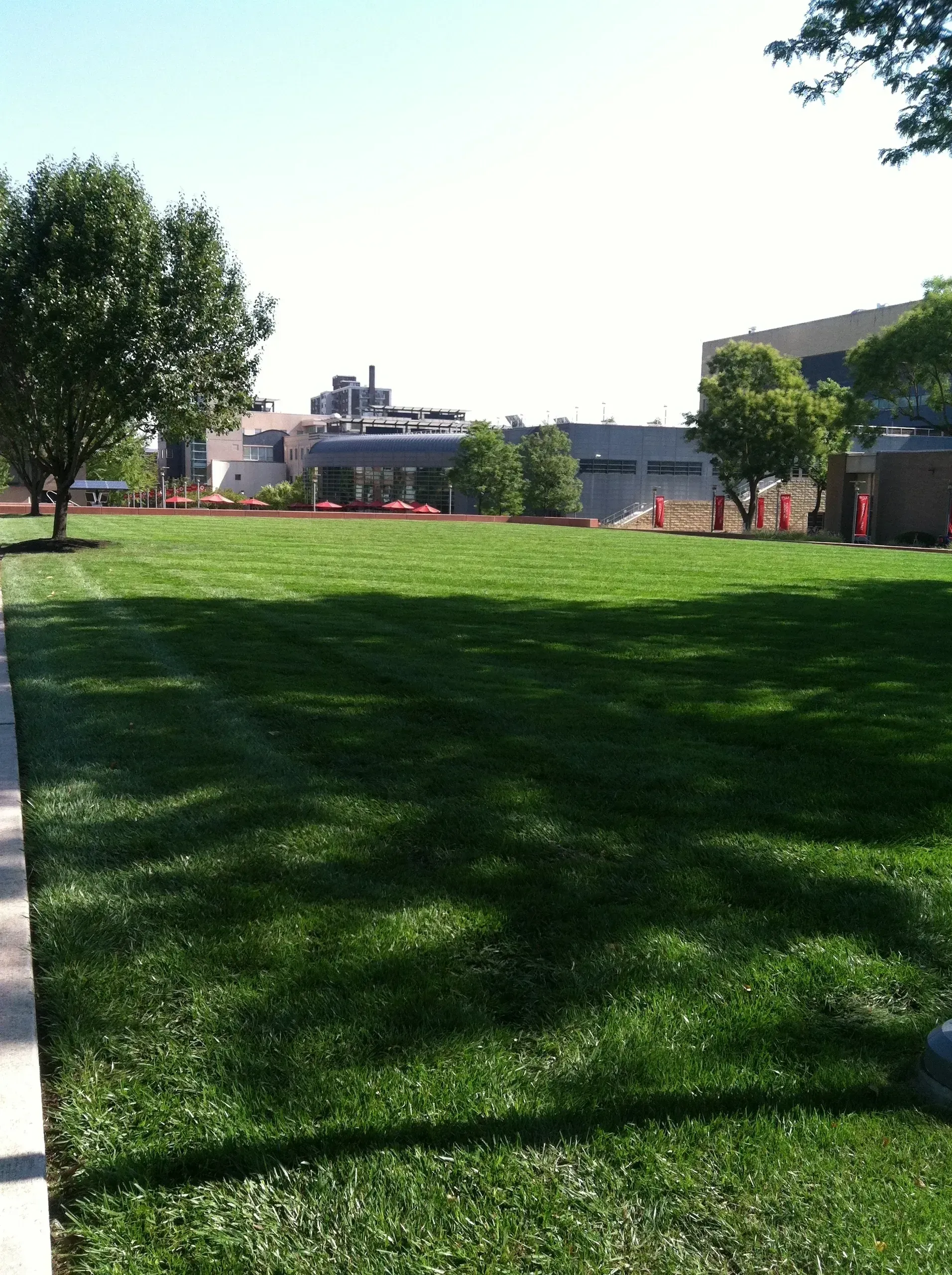 Green lawn with trees, buildings in the background, sunny day.