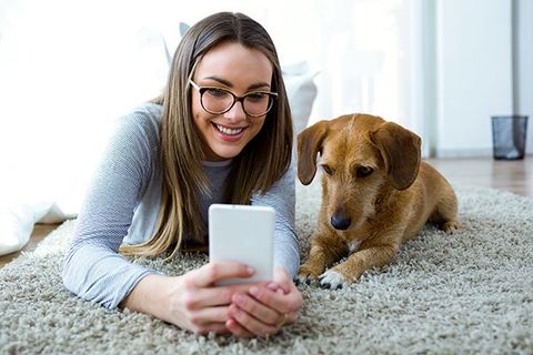 A young woman looks at her smartphone with her dog.