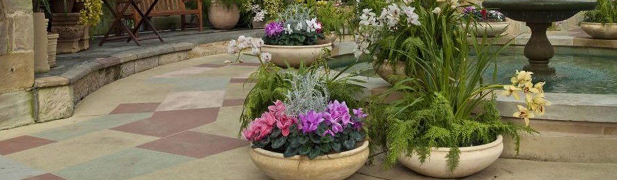 quality indoor plants hire flower garden