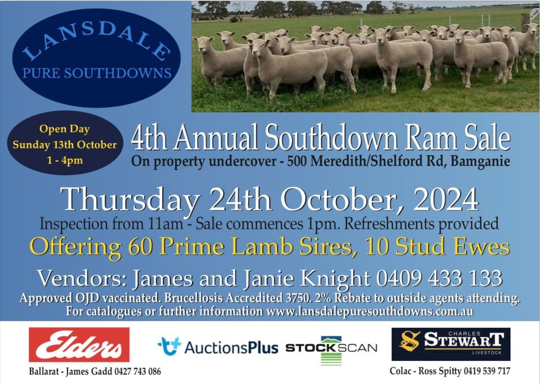 Annual Southdown Ram Sale