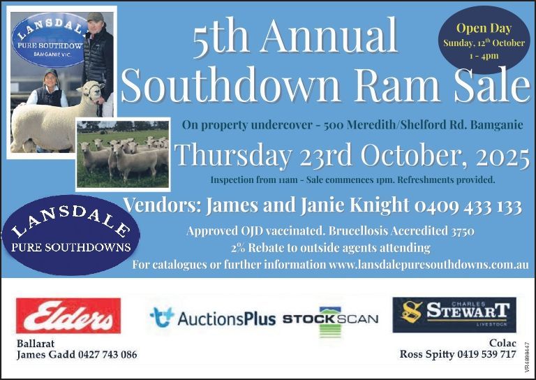 Annual Southdown Ram Sale