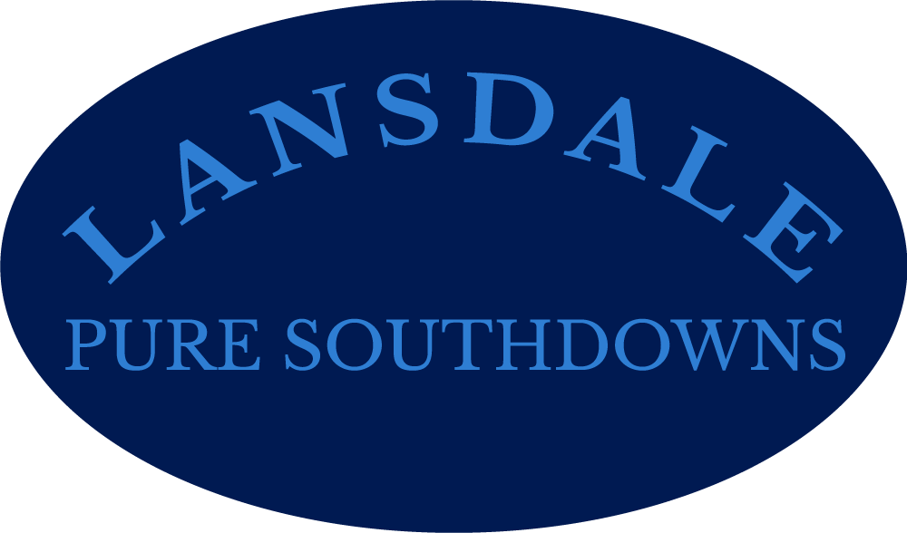 Lansdale Pure Southdowns