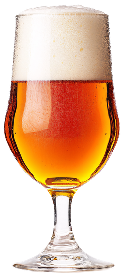 A glass of beer with foam on top of it on a white background.