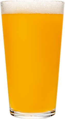 A glass of beer with foam on top of it on a white background.