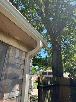 A white gutter on the side of a house next to a tree.