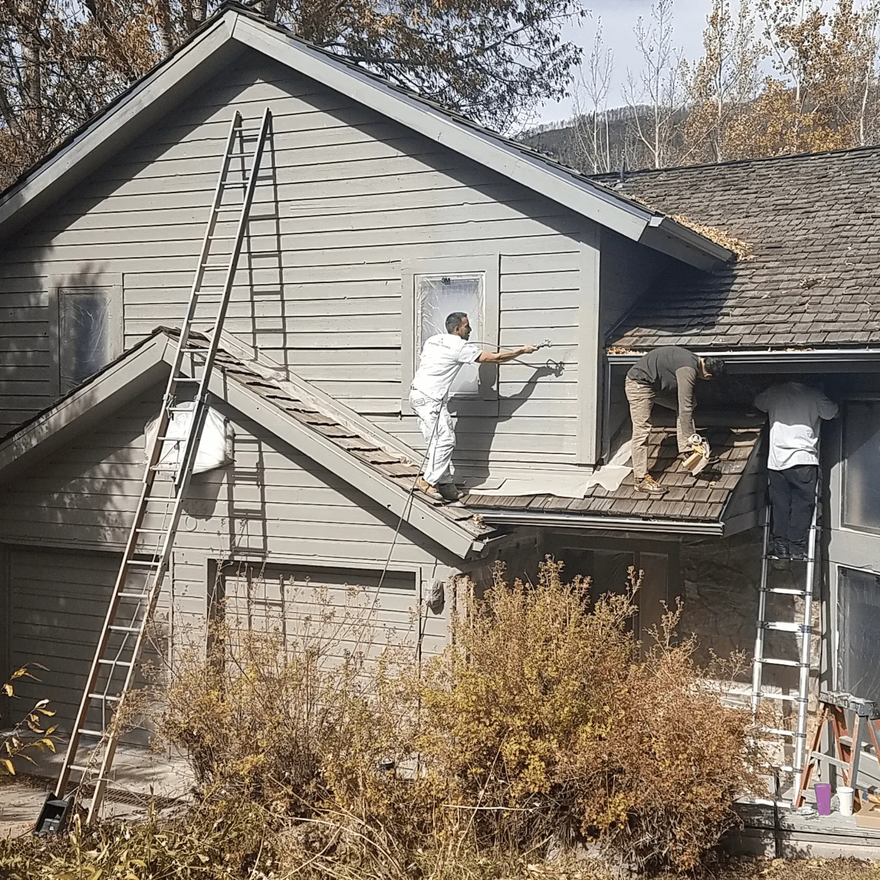 Two men are painting the side of a house with a ladder.