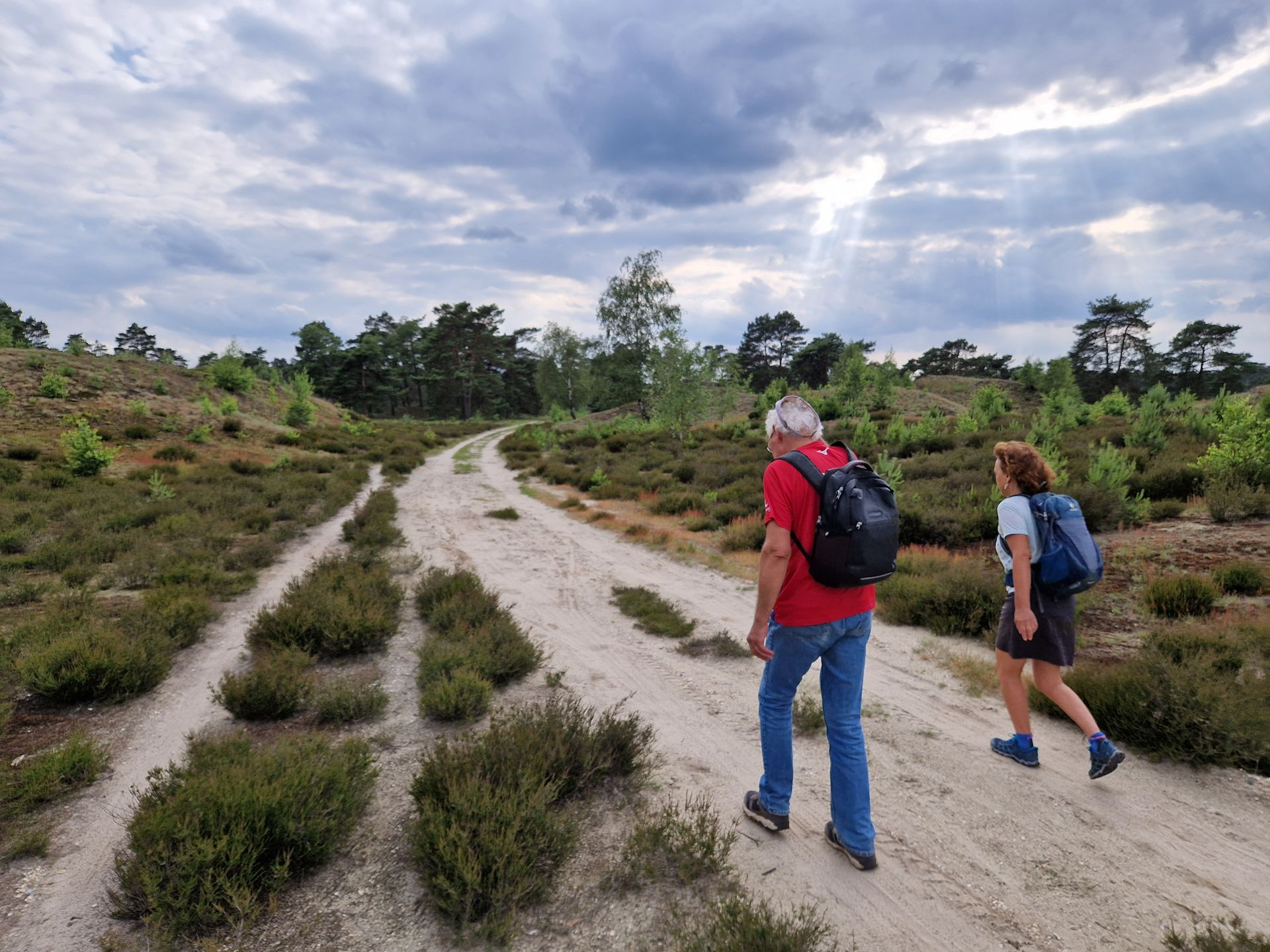 Wandelaars op ene heideveld