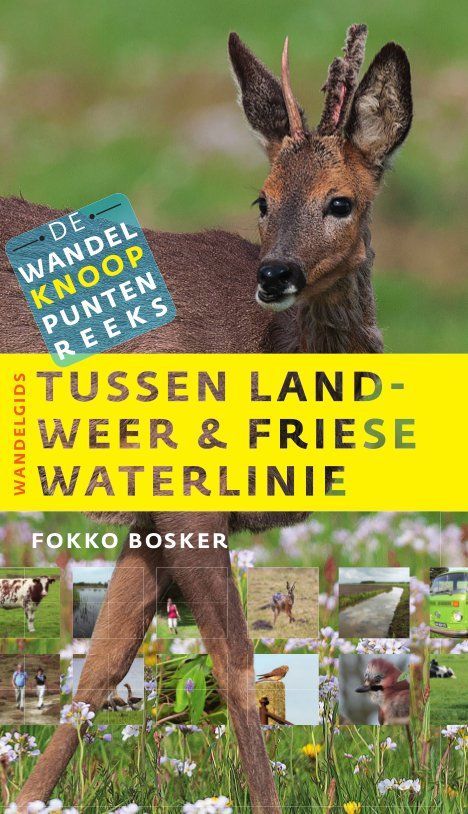 Book cover with deer in field; green and yellow text: 