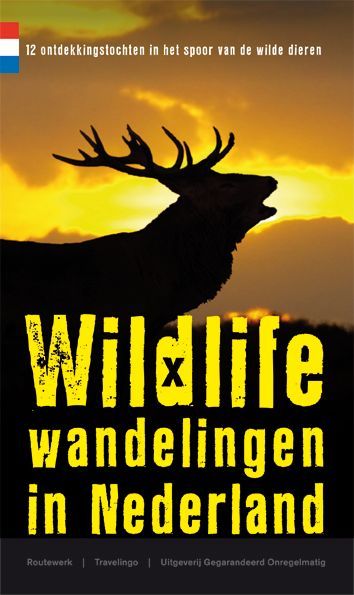 Silhouet van een hert tegen een zonsondergang, tekst 