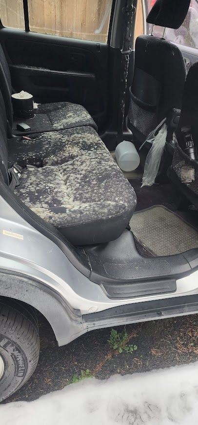 The back seat of a car is covered in dust and dirt.