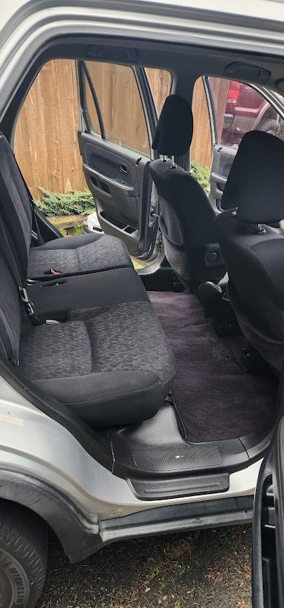 The back seat of a car with the door open.