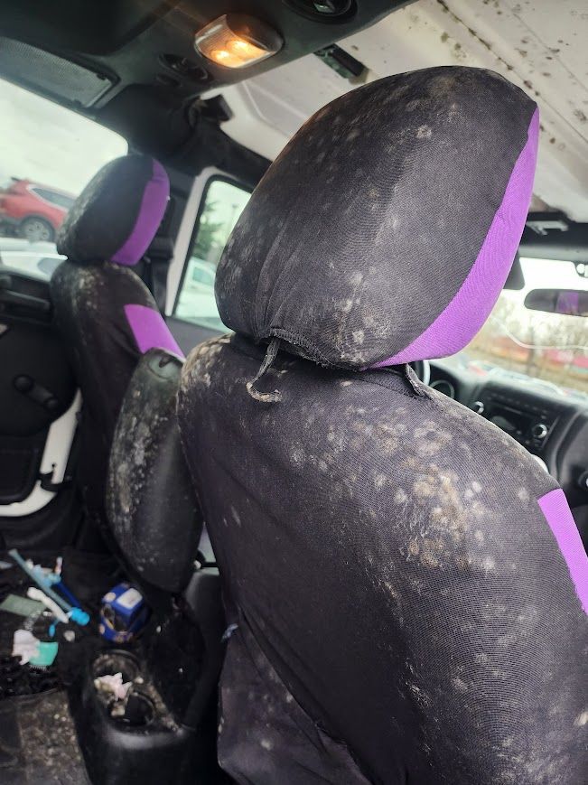 The inside of a car with dirty seats and purple seat covers.