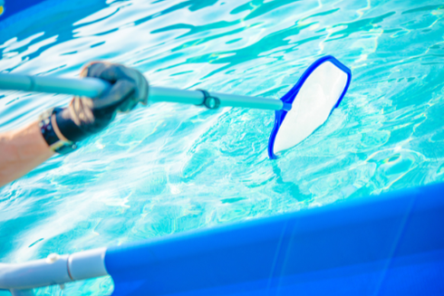 A person is cleaning a swimming pool with a leaf rake.