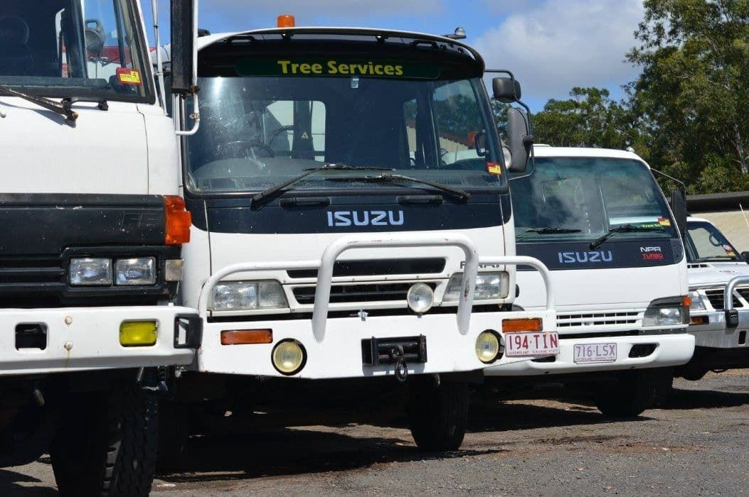 A Row Of Trucks Parked Next To Each Other In A Parking Lot — Branch Manager Tree Services Coolum Beach In Coolum Beach, QLD