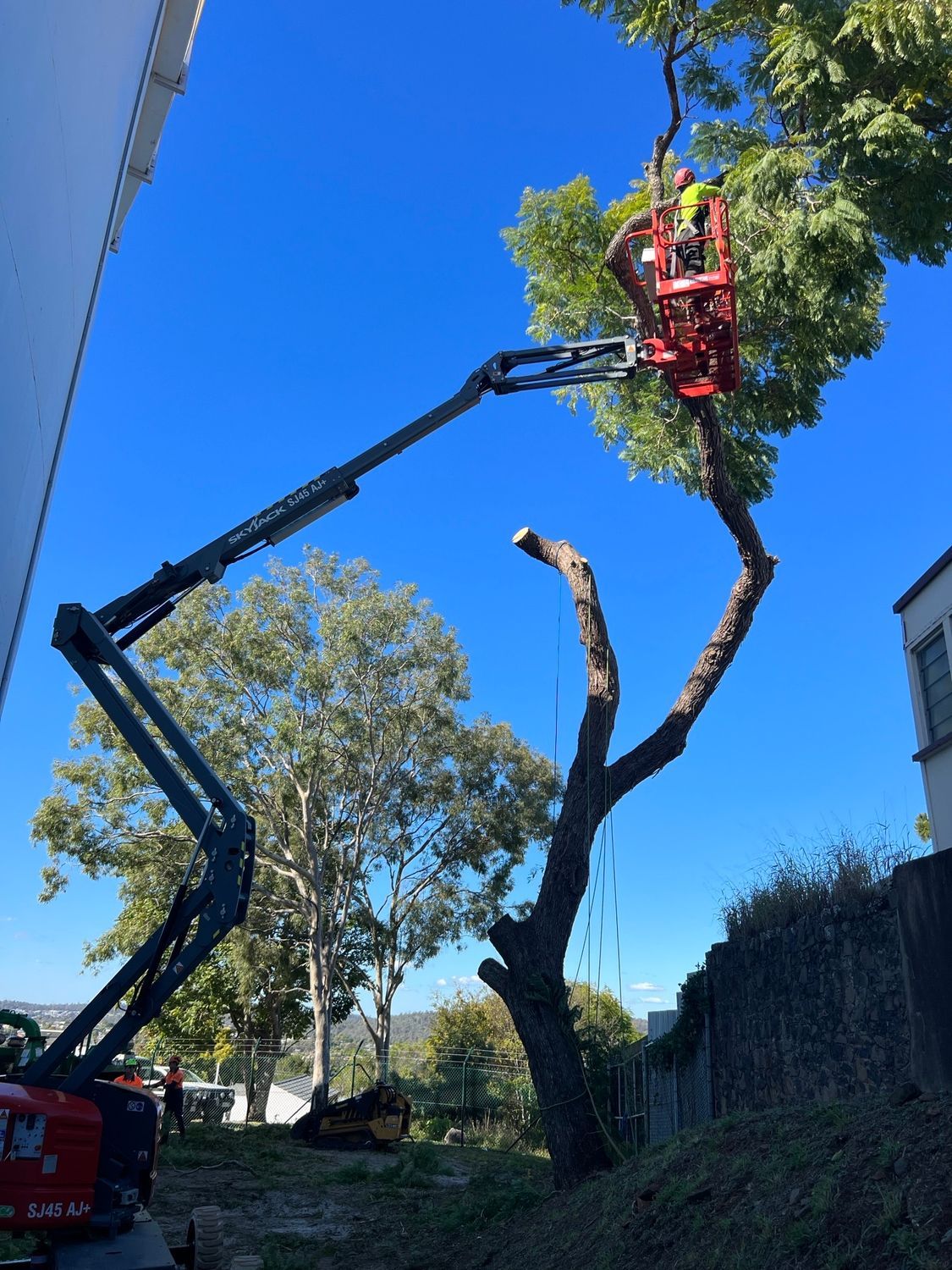 A Person Is Cutting A Tree With A Saw — Branch Manager Tree Services Coolum Beach In Palmwoods, QLD