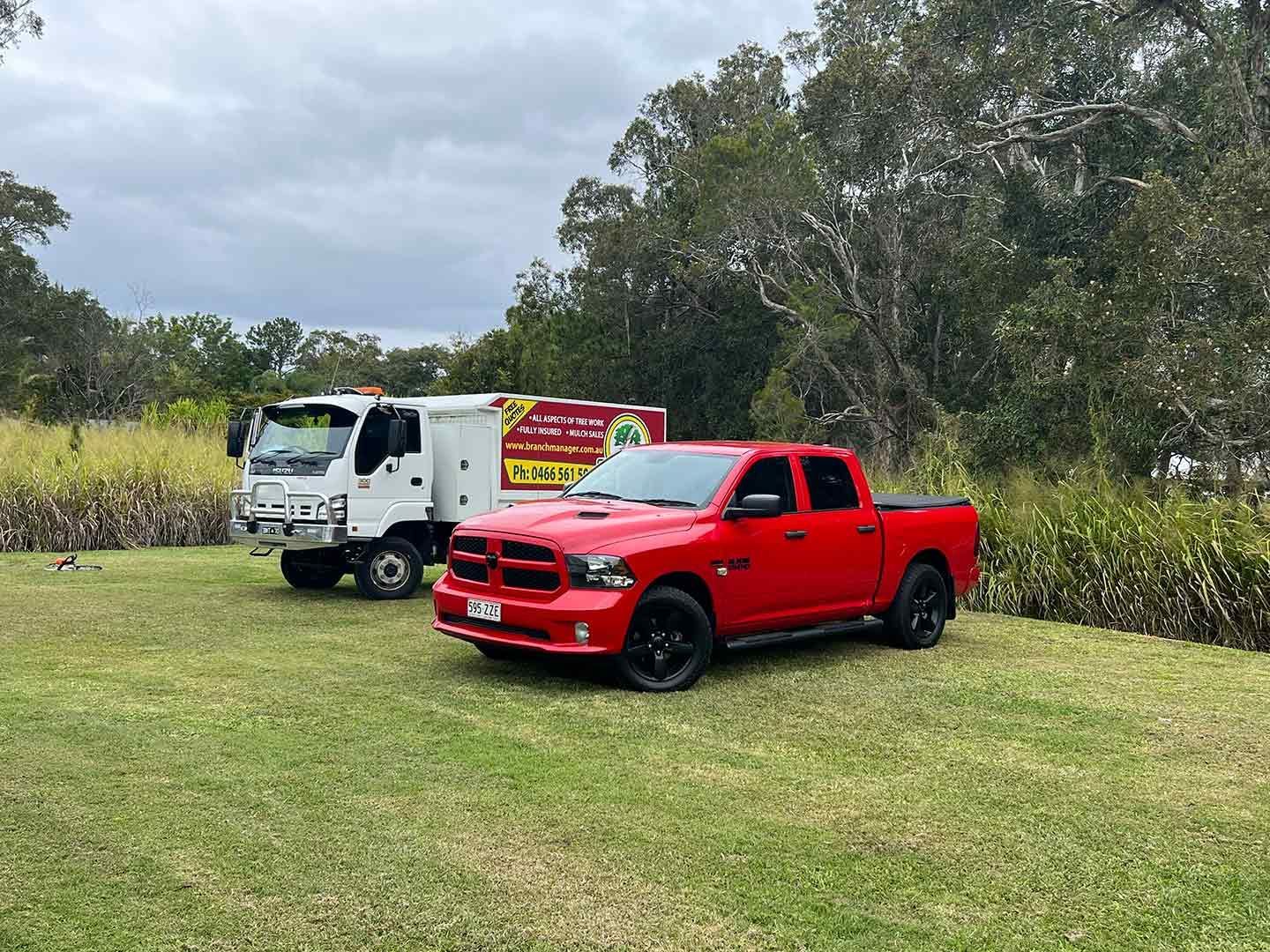 A Red Truck Is Parked Next To A White Truck In A Grassy Field — Branch Manager Tree Services Coolum Beach In Sunshine Coast, QLD